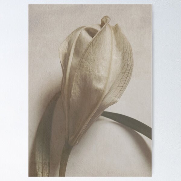 Item preview, Wabi Sabi Flower designed and sold by dream of forest ART.