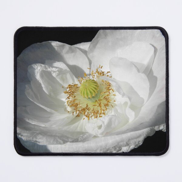 Item preview, Silk poppy designed and sold by birgitsfotoshop.
