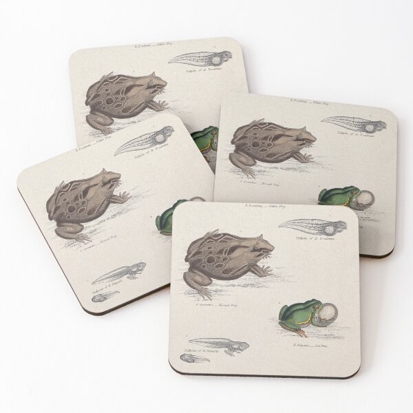 Item preview, Frogs and Tadpoles designed and sold by BlueSpecsStudio.