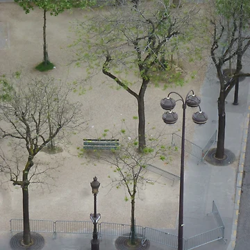 Imagen de la obra Looking Down From Arch de Triumph de Randy Sprout Fine Art