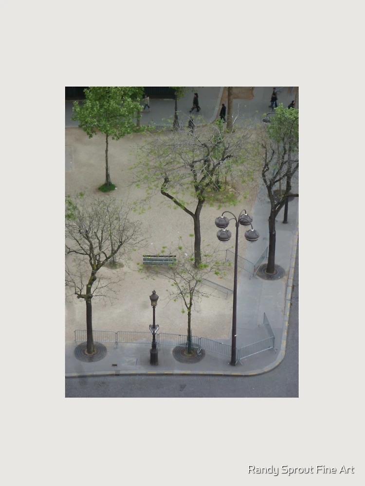 Aperçu 6 sur 6. Sweat à capuche oversize premium avec l'œuvre Looking Down From Arch de Triumph créée et vendue par Randy Sprout Fine Art.