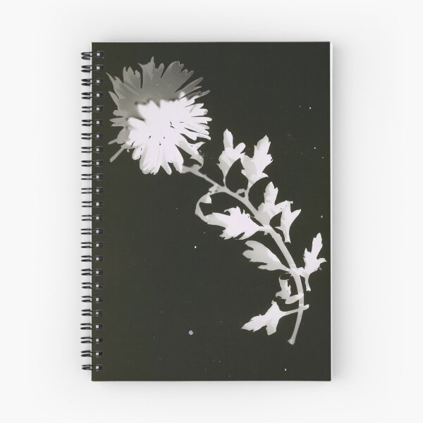 Item preview, Flower Laszlo Moholy Nagy designed and sold by meldefiart.