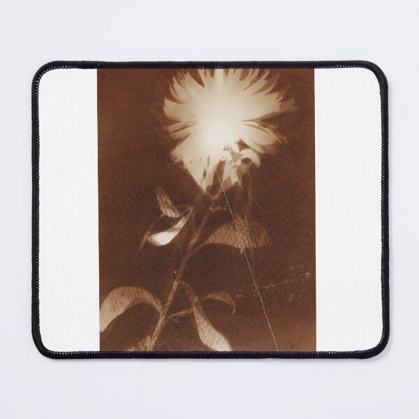 Item preview, Untitled (flower) Laszlo Moholy Nagy designed and sold by meldefiart.