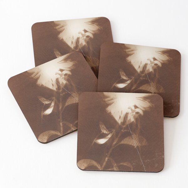 Item preview, Untitled (flower) Laszlo Moholy Nagy designed and sold by meldefiart.