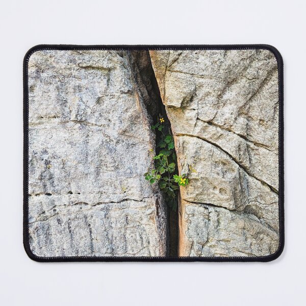 Item preview, Plant in a rock crevice designed and sold by LP-ART by Lutz Peter.