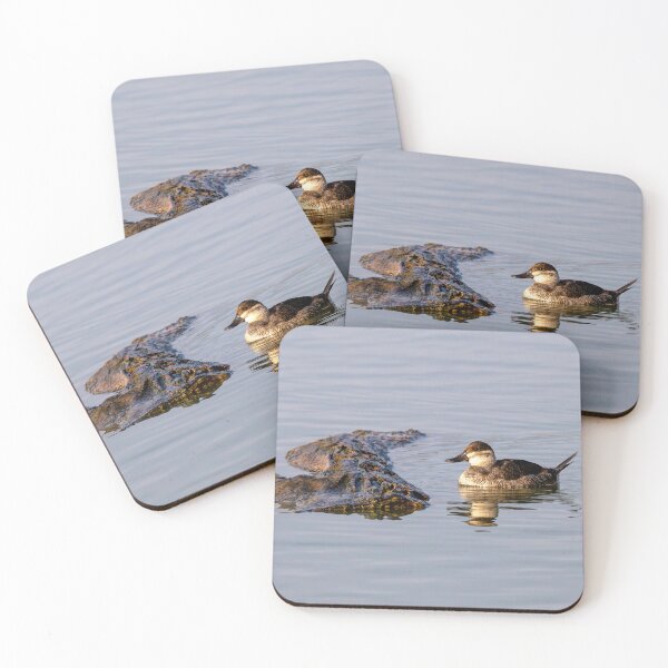 Item preview, Ruddy Duck Reflections designed and sold by DawsonImages.