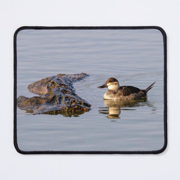 Item preview, Ruddy Duck Reflections designed and sold by DawsonImages.