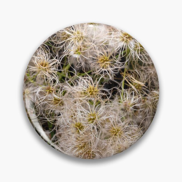 Item preview, Clematic Profusion designed and sold by DawsonImages.