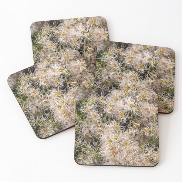 Item preview, Clematic Profusion designed and sold by DawsonImages.