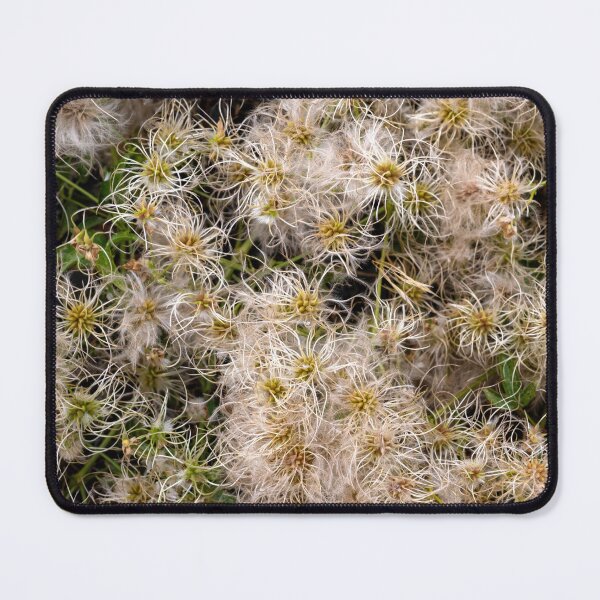 Item preview, Clematic Profusion designed and sold by DawsonImages.