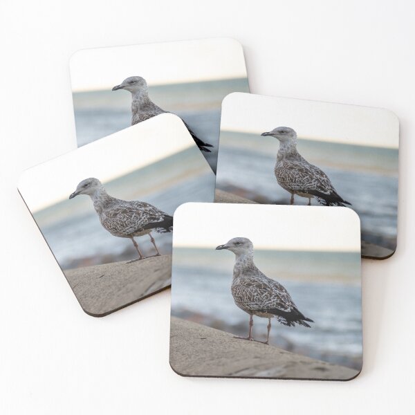Item preview, Herring gull on the seawall  designed and sold by yackers1.