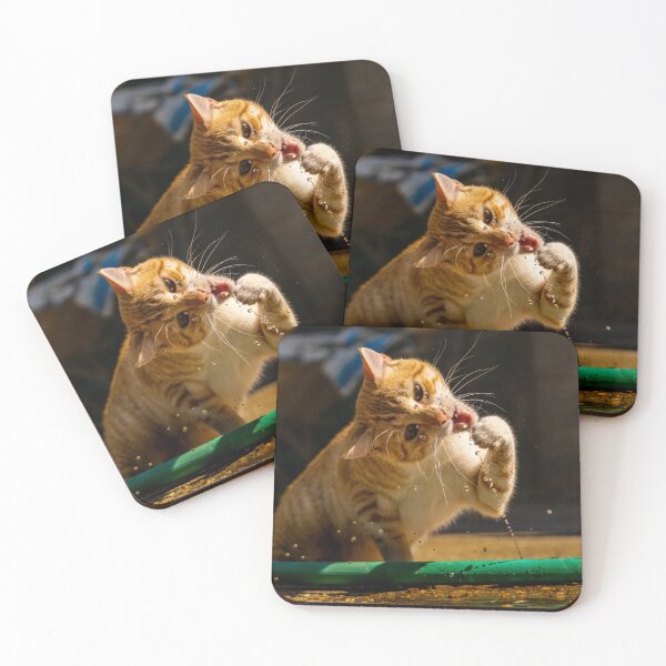 Item preview, Orange Tabby Cat Playing with Water designed and sold by DavidBuitragoCobo.