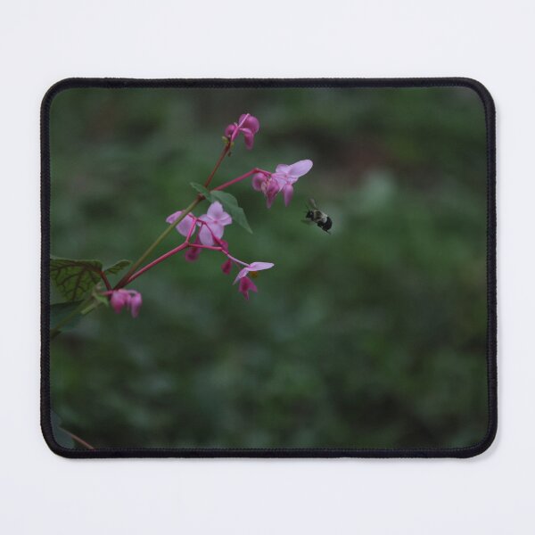Item preview, Bee and Begonia designed and sold by DHParsons.