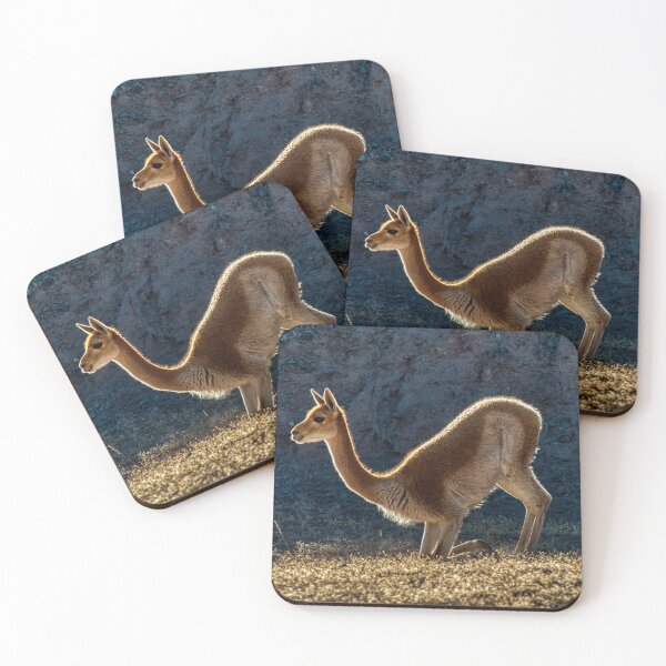 Item preview, Vicuna Backlit - HDR Photography of the Andean Highlands (Argentina) designed and sold by Keltoi-art.