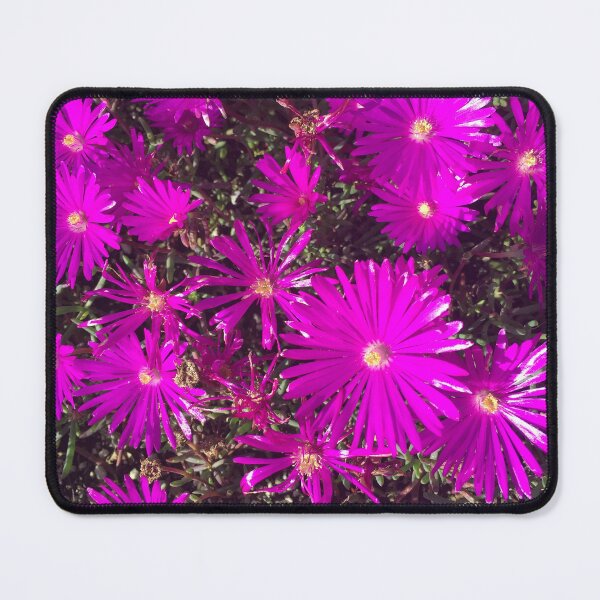 Item preview, Purple Explosion designed and sold by Douglas E. Welch Design and Photography.