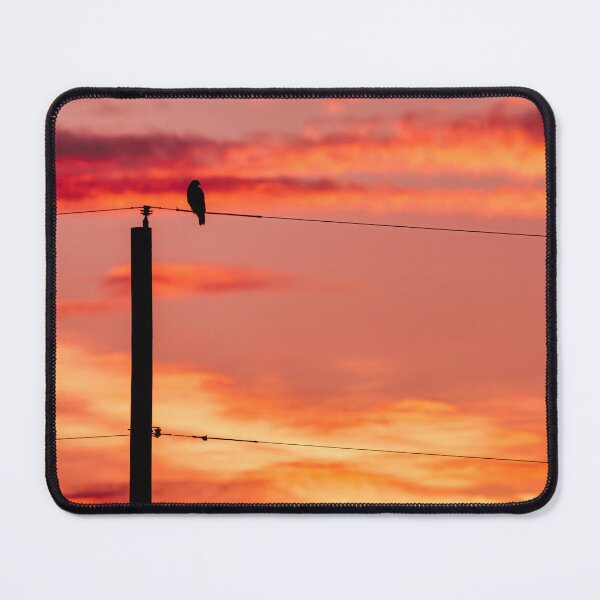 Item preview, Up With The Sun designed and sold by Jim Love.