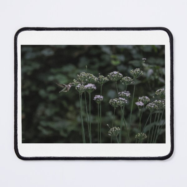 Item preview, Humminbird and Chive Blossom designed and sold by DHParsons.
