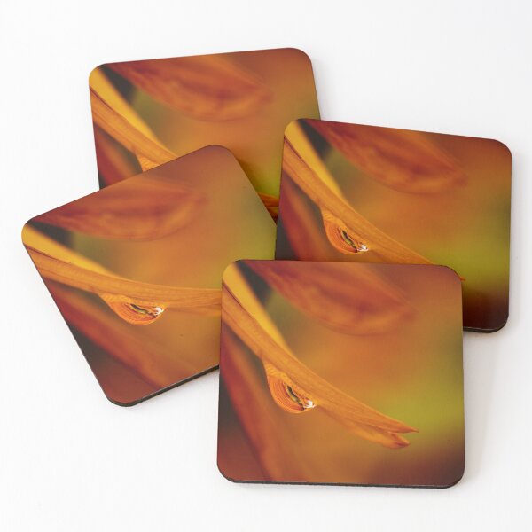 Item preview, Dewdrop Reflections designed and sold by Jim Love.