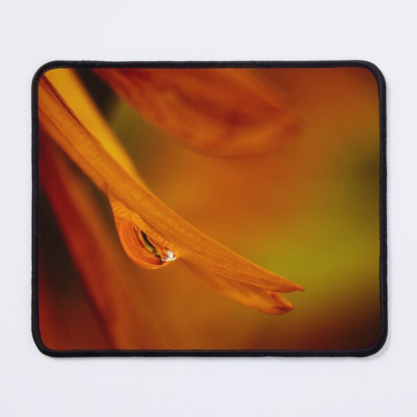 Item preview, Dewdrop Reflections designed and sold by Jim Love.