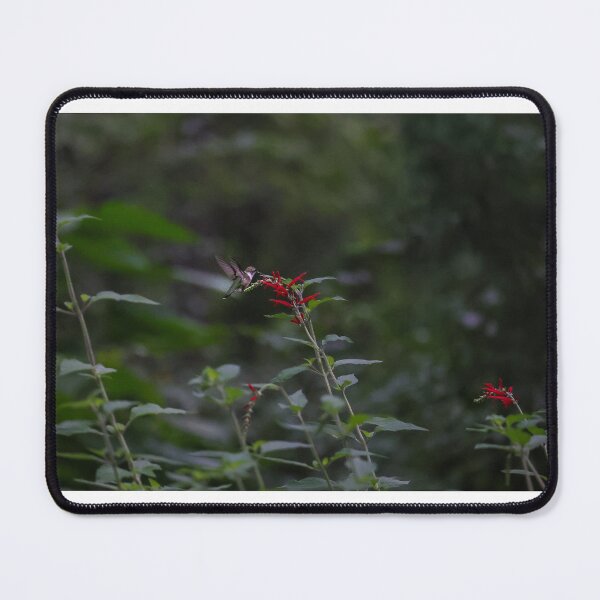 Item preview, Humming Bird and Pineapple Sage designed and sold by DHParsons.