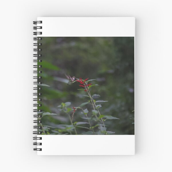 Item preview, Humming Bird and Pineapple Sage designed and sold by DHParsons.