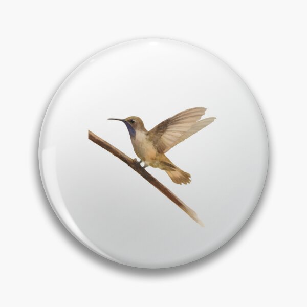 Item preview, Brown Violetear (Colibri delphinae) designed and sold by HOMETOWN86.
