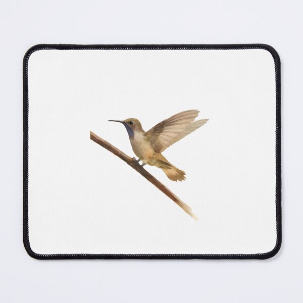Item preview, Brown Violetear (Colibri delphinae) designed and sold by HOMETOWN86.