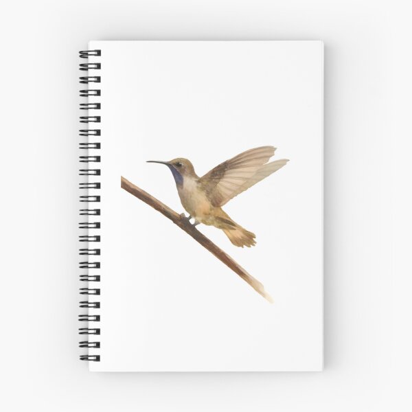 Item preview, Brown Violetear (Colibri delphinae) designed and sold by HOMETOWN86.
