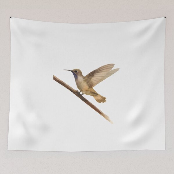 Item preview, Brown Violetear (Colibri delphinae) designed and sold by HOMETOWN86.