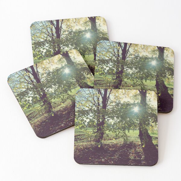 Item preview, Forest Light designed and sold by Rachel J Bowler.