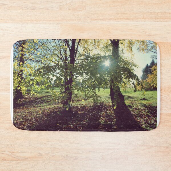Item preview, Forest Light designed and sold by Rachel J Bowler.