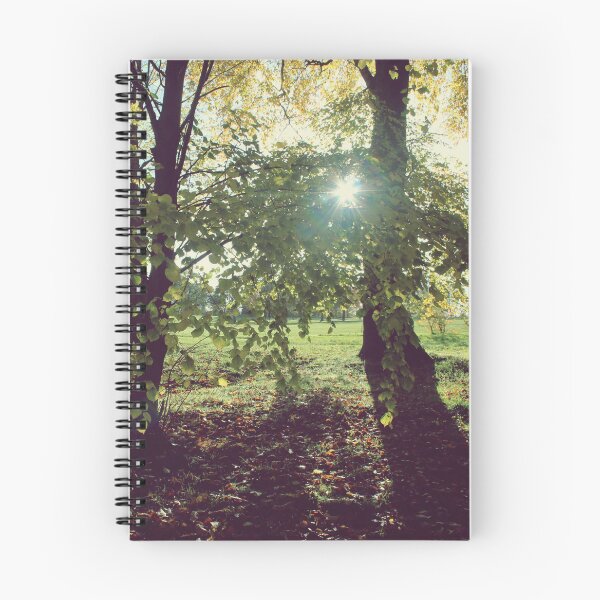 Item preview, Forest Light designed and sold by Rachel J Bowler.