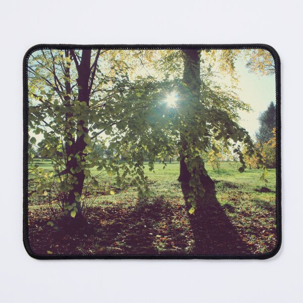 Item preview, Forest Light designed and sold by Rachel J Bowler.