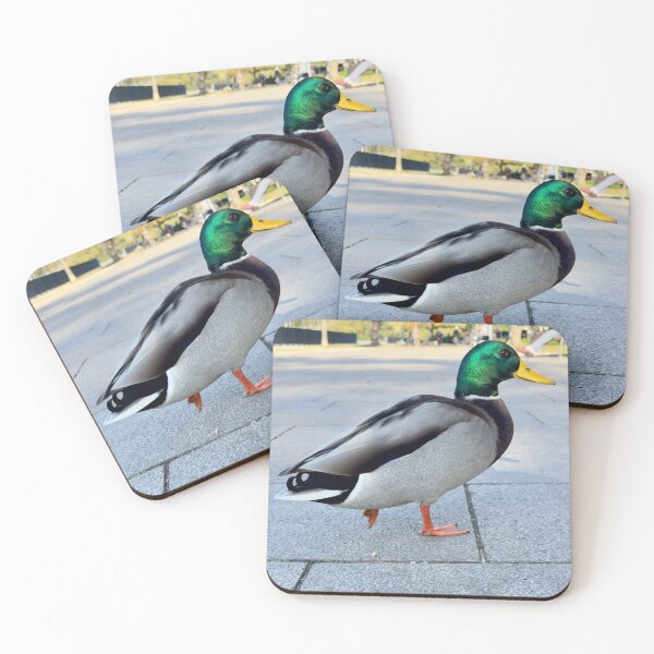 Item preview, Mallard Duck in the Park — Wildlife Photography designed and sold by TsvietkovaArt.