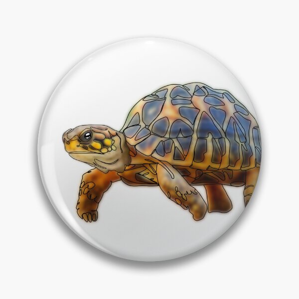 Item preview, Turtle in a Turtle Hat – animalzinhats designed and sold by Ashley’sAnimalz.