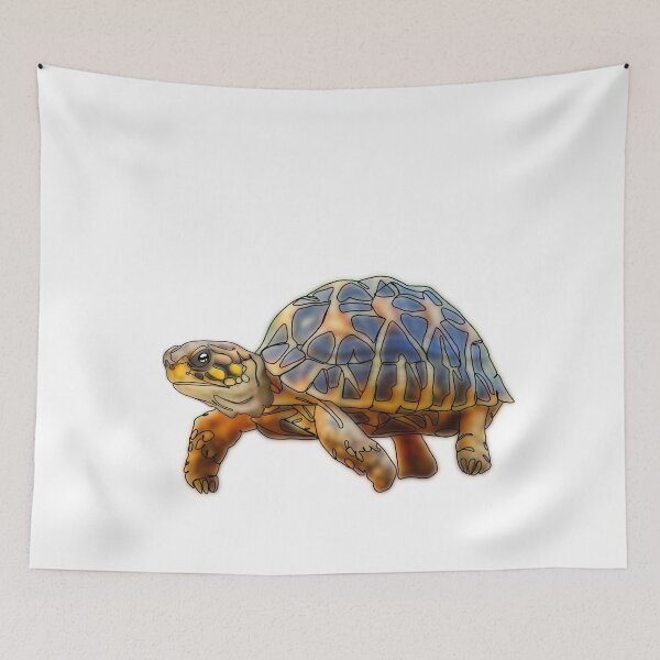 Item preview, Turtle in a Turtle Hat – animalzinhats designed and sold by Ashley’sAnimalz.
