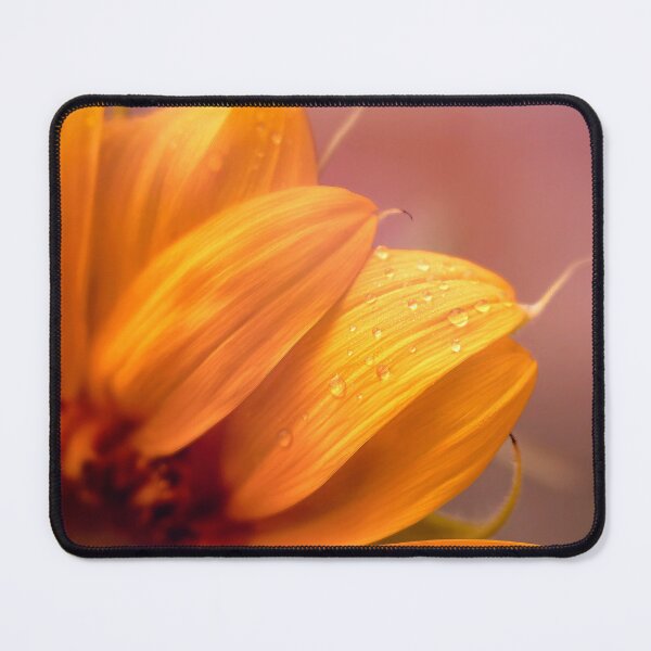Item preview, Sunflower Daydream designed and sold by Jim Love.