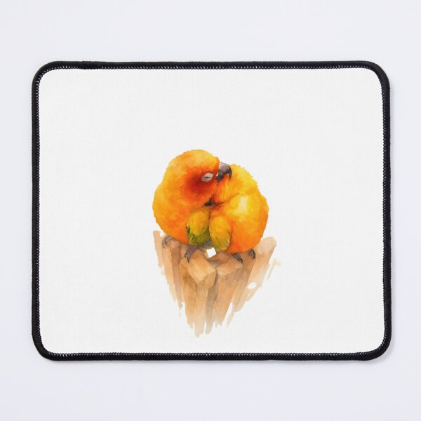 Item preview, Couple Sun conure (Aratinga solstitialis) designed and sold by HOMETOWN86.