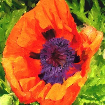 Vorschaubild zum Design Margo's Poppy von Randy Sprout Fine Art
