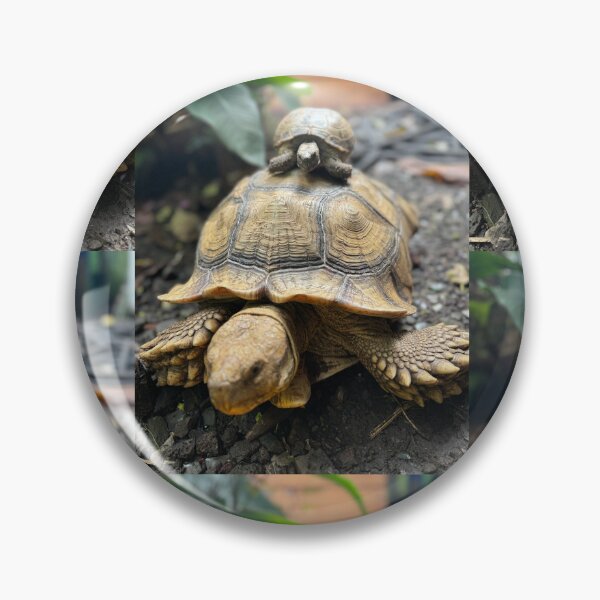 Item preview, Tortoise on the Move designed and sold by TrisaThyme.