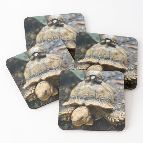 Item preview, Tortoise on the Move designed and sold by TrisaThyme.