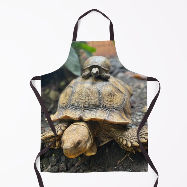 Item preview, Tortoise on the Move designed and sold by TrisaThyme.