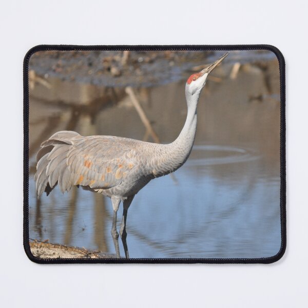 Item preview, Quenching his thirst designed and sold by Lin3158.