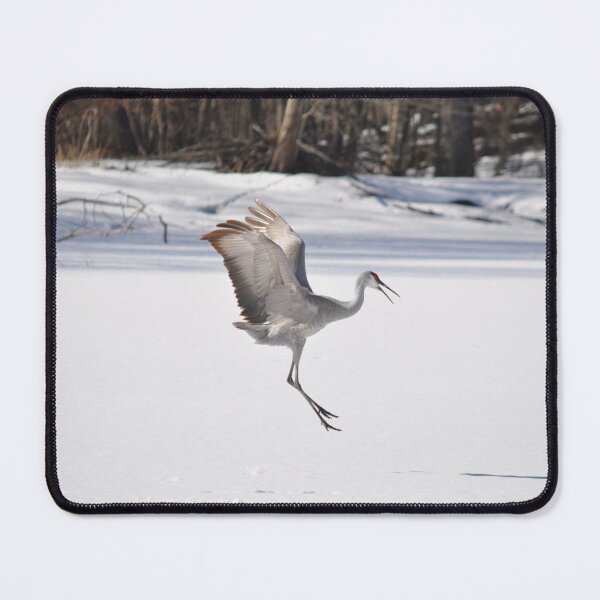 Item preview, Cold landing designed and sold by Lin3158.