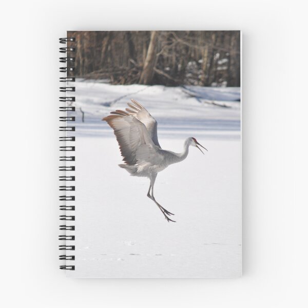 Item preview, Cold landing designed and sold by Lin3158.