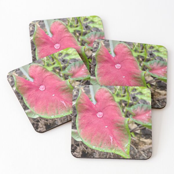 Item preview, Pink Caladium Leaf with Dew Drop designed and sold by TrisaThyme.