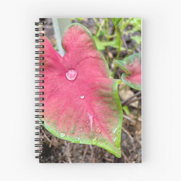 Item preview, Pink Caladium Leaf with Dew Drop designed and sold by TrisaThyme.