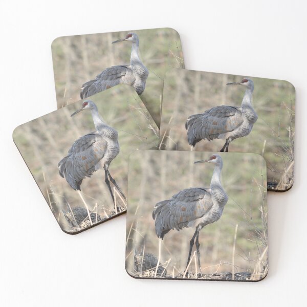 Item preview, Sandhill crane designed and sold by Lin3158.