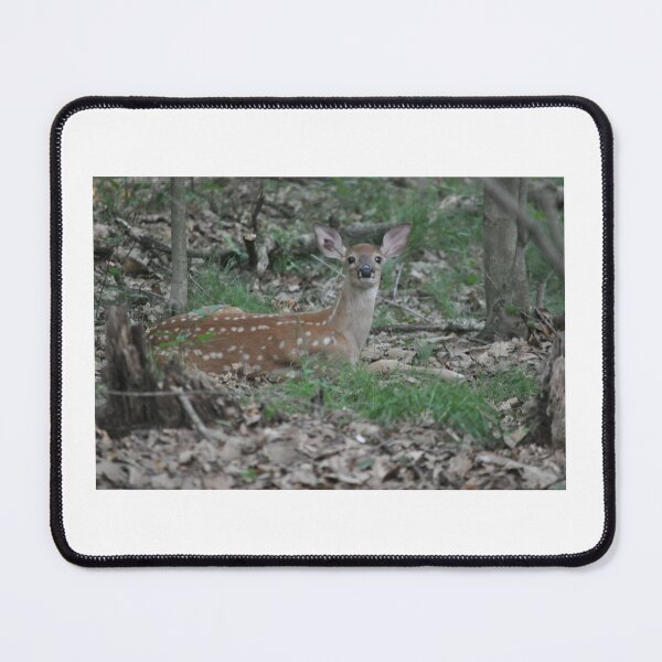 Item preview, Fawn resting designed and sold by Lin3158.