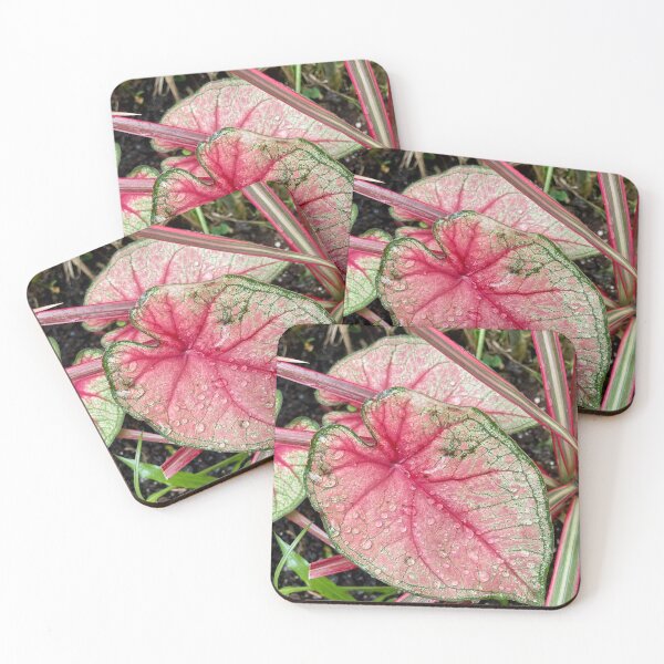 Item preview, Raindrops on Pink Caladium Leaf designed and sold by TrisaThyme.